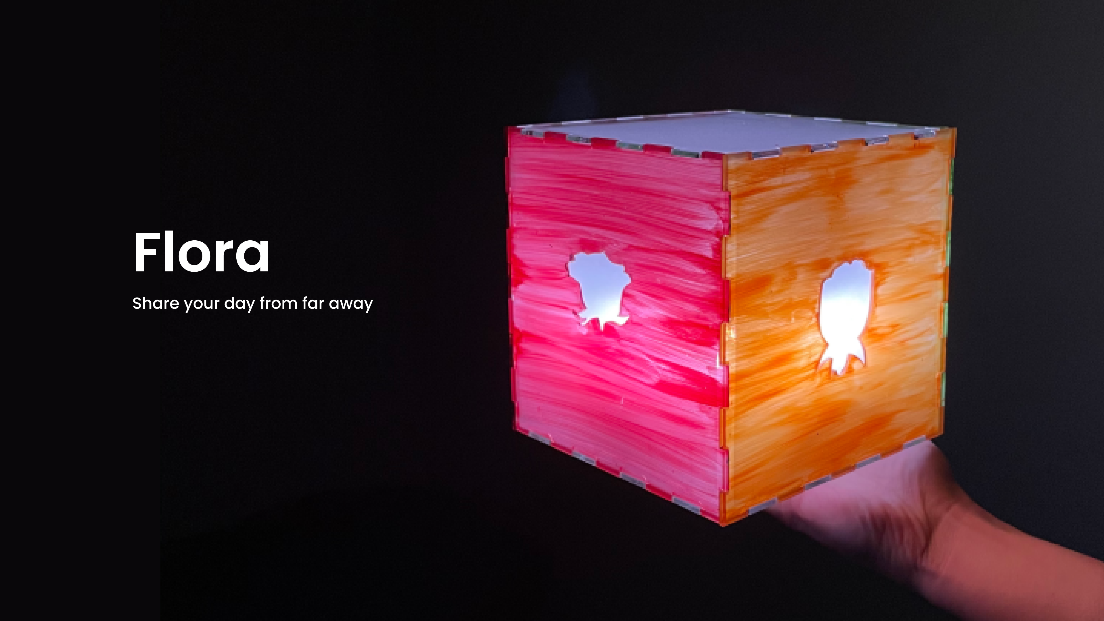 hero image of flora the interactive refletion cube