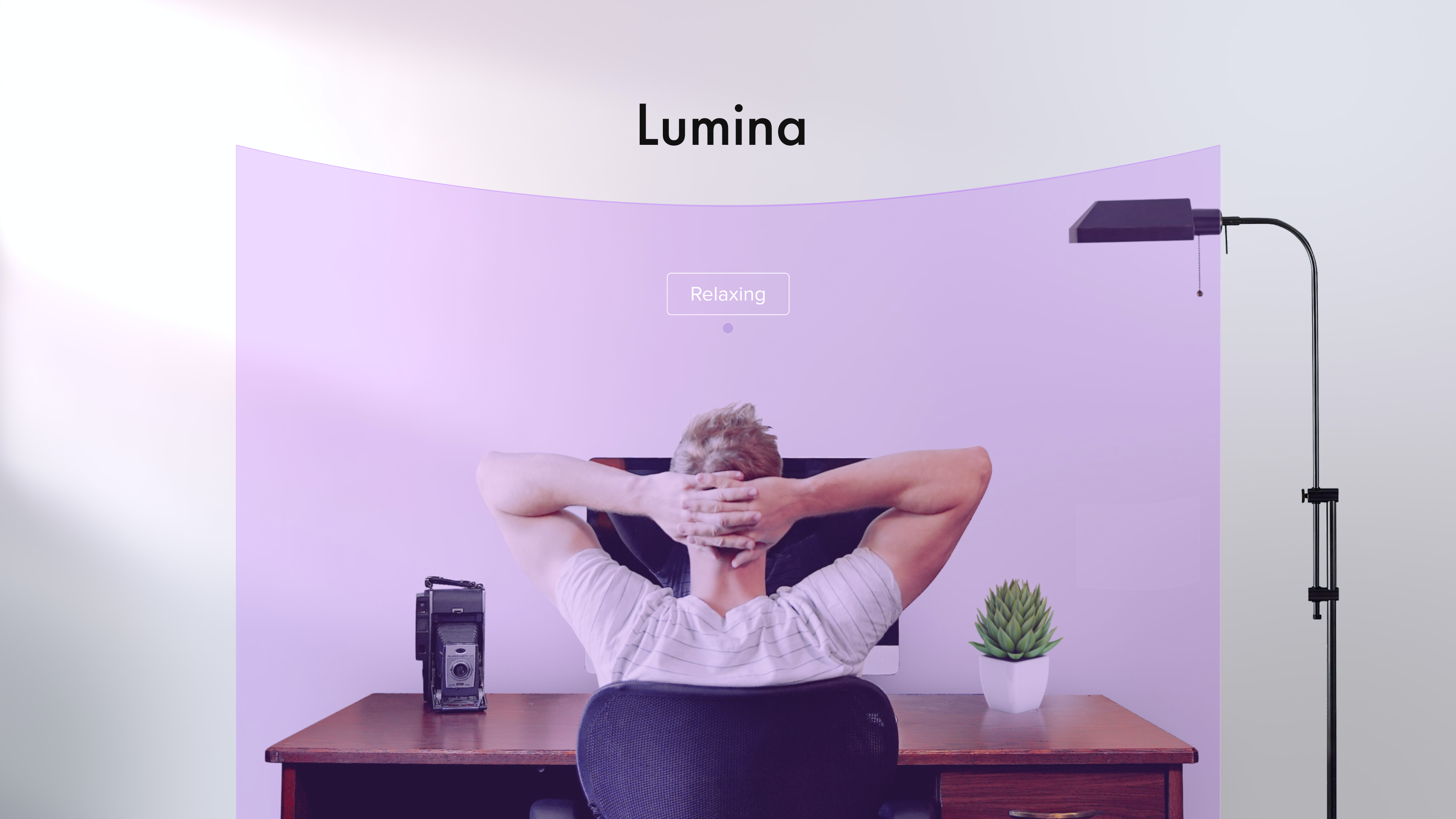 hero image of Lumina a flexible space divider